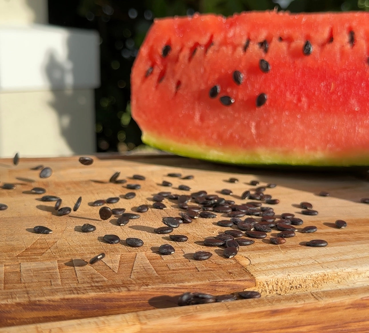 Red Sangria Watermelon Seeds