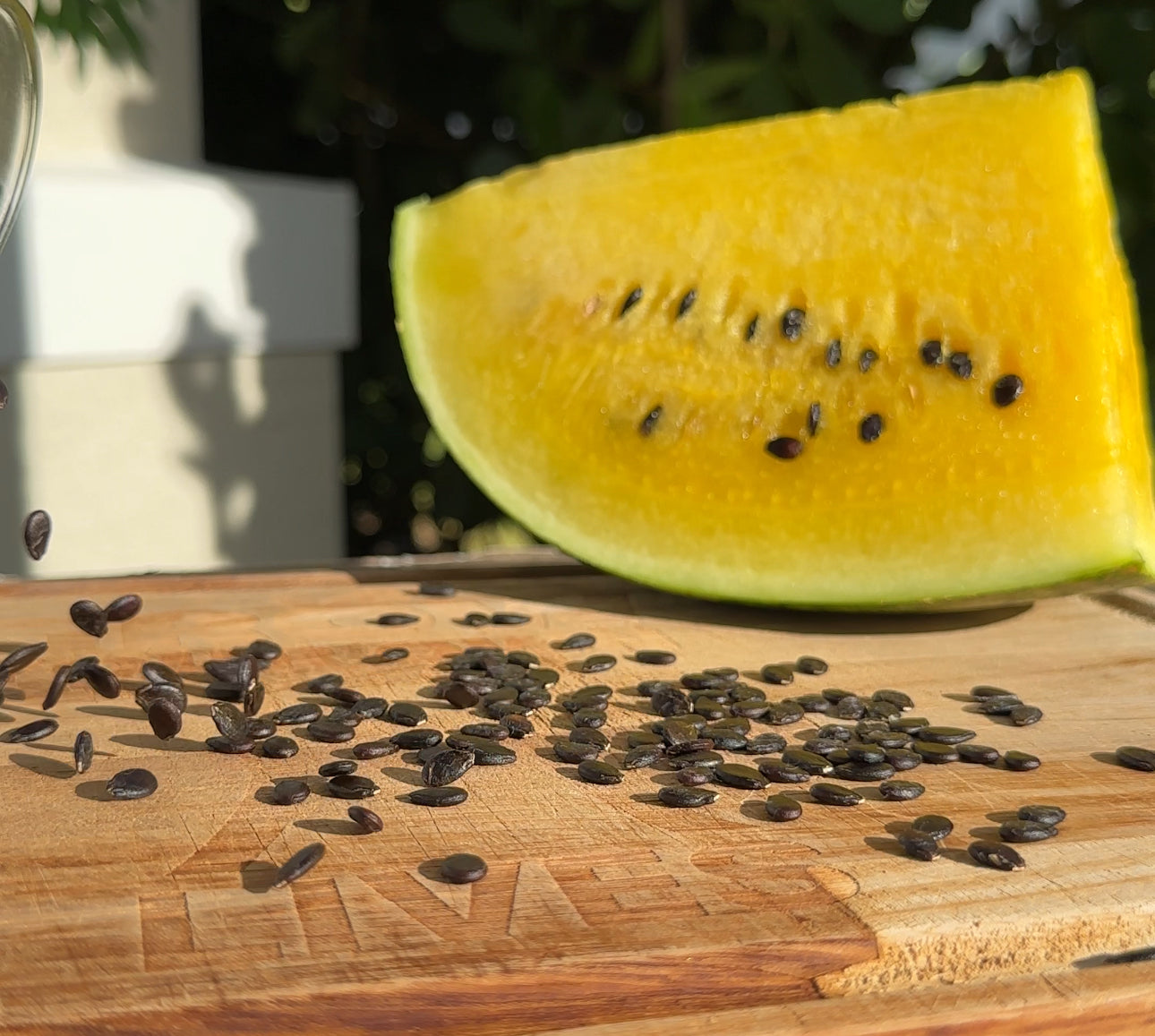 Golden Honey Watermelon Seeds