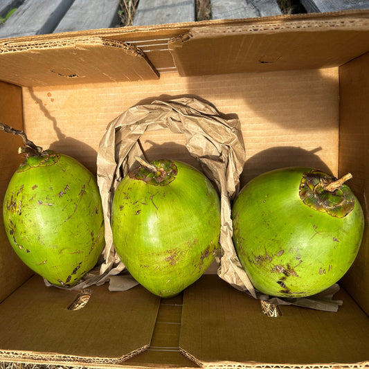 3 Organic Young Coconuts