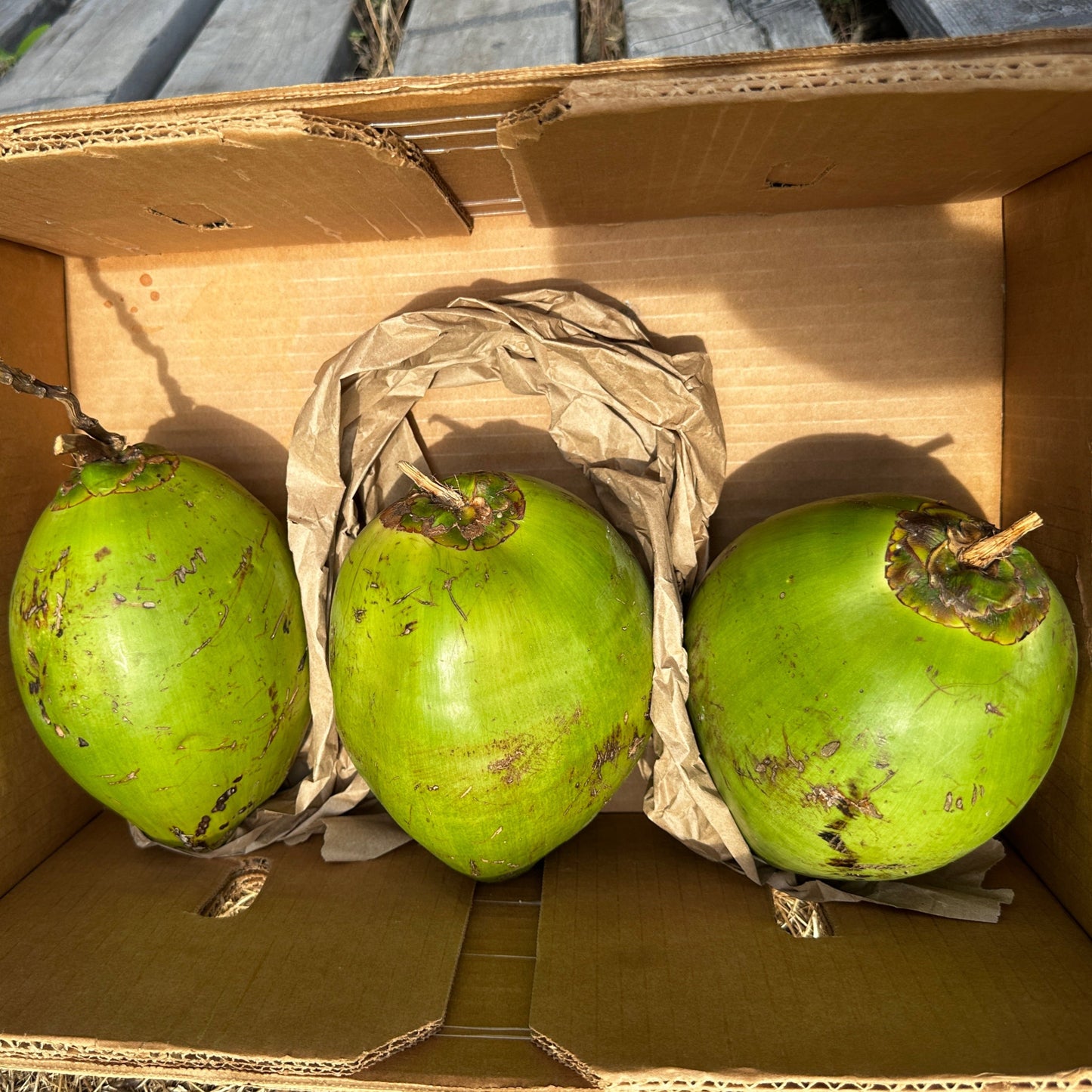 3 Organic Young Coconuts